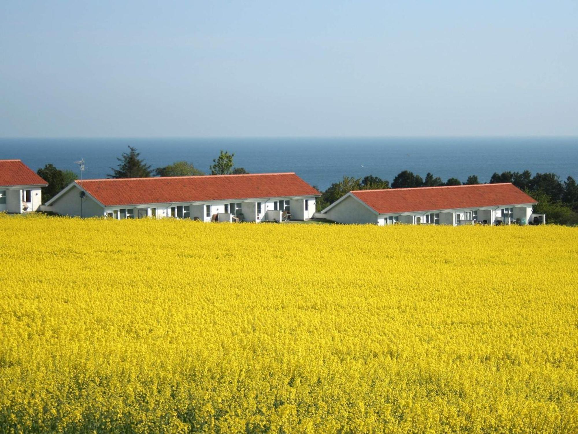 2 Person Holiday Home In Allinge Bagian luar foto